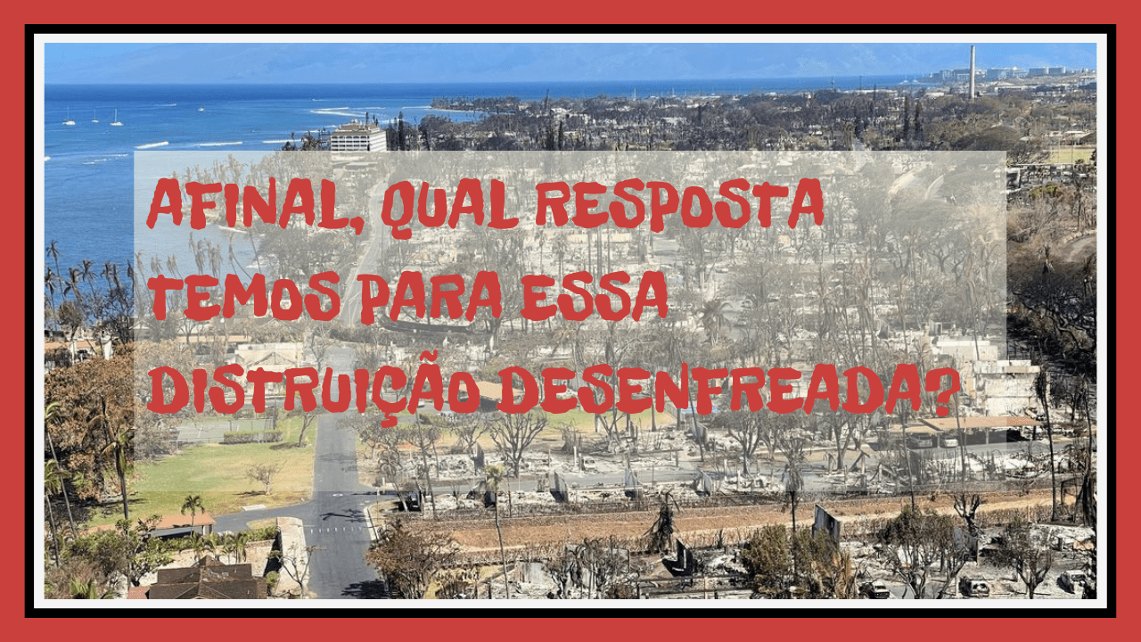 Condado de ilha devastada no Havaí processa empresa pelo incêndio